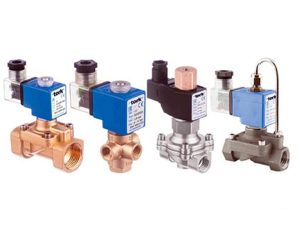شیر برقی ترک